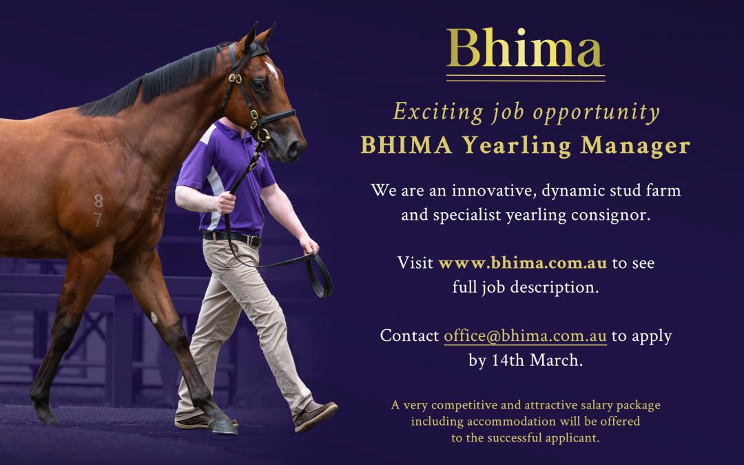 JOB OPPORTUNITY: YEARLING MANAGER