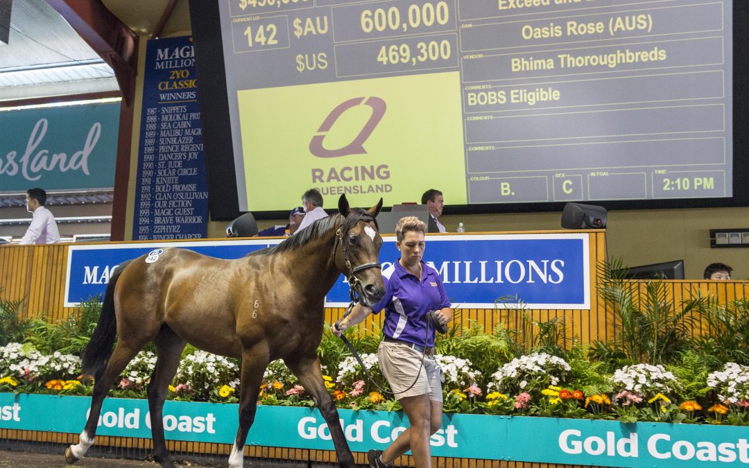 A new era in yearling sales information